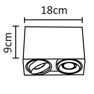 Накладной светильник Arte Lamp A5655PL-2BK черный