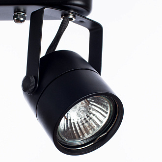 Спот Arte Lamp Lente A1310PL-2BK, черный