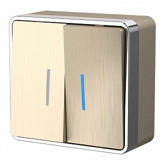 W5020110 Выключатель двухклавишный с подсветкой Gallant, шампань рифленый Werkel, 4690389164200