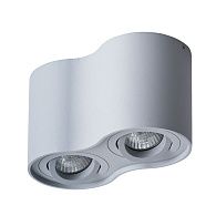 Потолочный светильник Arte Lamp Falcon A5645PL-2GY серый