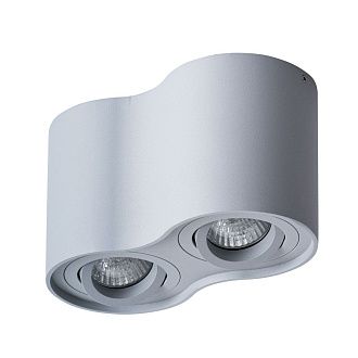 Потолочный светильник Arte Lamp Falcon A5645PL-2GY серый