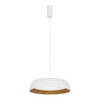 Светильник подвесной Белый, Древесный/белая LED 1*30W 4000K St Luce  SLE1812-503-01
