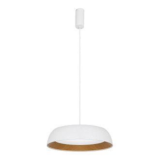Светильник подвесной Белый, Древесный/белая LED 1*30W 4000K St Luce  SLE1812-503-01