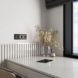 W1191144 Накладка для двойной розетки Еthernet RJ-45, графит акрил Werkel, 4690389197581