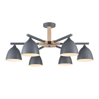 Люстра потолочная 79,5*35 см, 6*E27 Lumion COLANGE 8096/6C серый