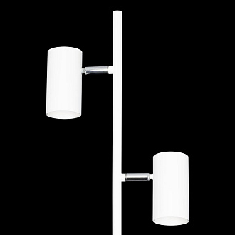 Торшер Citilux CL809010N Twin Белый 