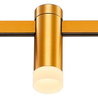 Светильник на шине 2,9*9 см, LED, 3W,  3000К, ST-Luce FARM ST812.206.03 золотой