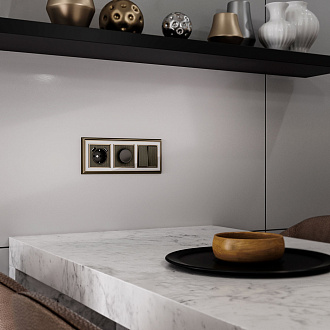 Накладка для диммера (бронзовый) Werkel  W1149012