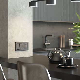 W1142064 Диммер, графит матовый Werkel, 4690389194399