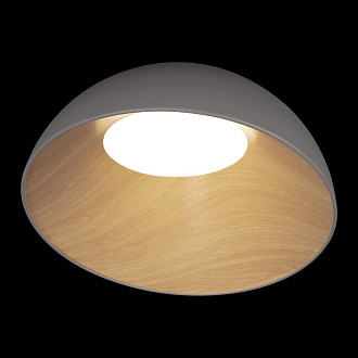 Потолочный светильник 50*29 см, 1*LED*36W 4000K серый LOFT IT Egg 10197/500 Grey