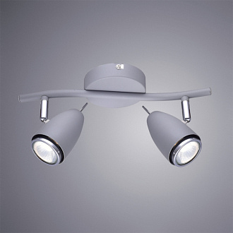 Спот с двумя лампами A1966AP-2GY Arte Lamp REGISTA, серый