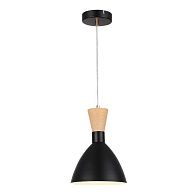 Подвесной светильник 18*30 см, 1*E14*40W, Evoluce Vista SLE1256-403-01, черный
