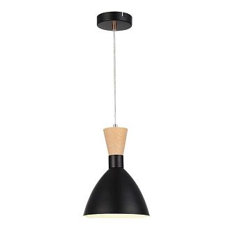 Подвесной светильник 18*30 см, 1*E14*40W, Evoluce Vista SLE1256-403-01, черный