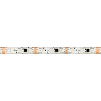 Светодиодная лента герметичная SPI-SE-B60-10mm 12V RGB-PX3-BPT (12 W/m, IP65, 5060, 5m) (Arlight, бегущий огонь) 039597, цена за метр, катушкой по 5 м