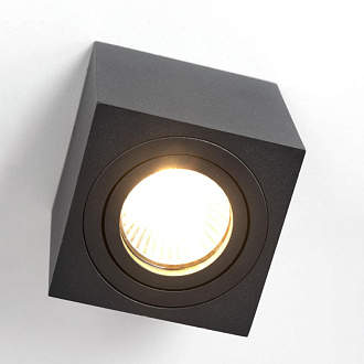 Светильник Черный Citilux Дюрен CL538213