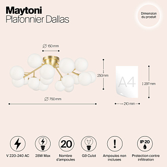 Светильник 75 см, Maytoni MOD545CL-20BS, золото