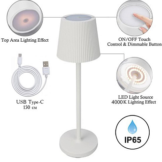 Настольная лампа 38 см, 3W, 4000K, Arte Lamp FUYUE A1616LT-1WH, белый