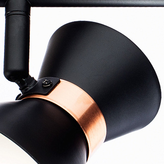 Спот Arte Lamp Baltimore A1406AP-2BK, черный/золотой