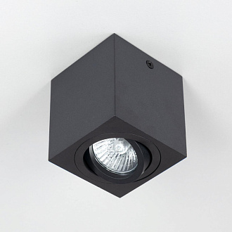 Светильник Черный Citilux Дюрен CL538213