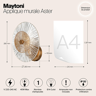 Светильник 28 см, Maytoni Aster MOD007WL-01G, золото