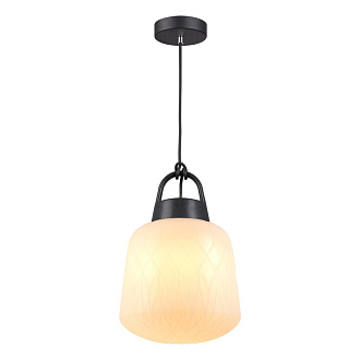 Уличный подвесной светильник Novotech Conte 370601 черный, диаметр 25.5 см