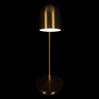 Настольная лампа 20*15 см, 1*E27*W, Loft It 10144 Gold Tango, Золото