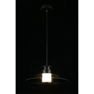 Подвесной светильник 30*40-200 см, 1*LED, 10W, 4000K, Aployt Stefa APL.648.06.10, черный