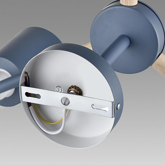 Люстра потолочная 80*51 см, 6*E27 Lumion ROSALINA 8098/6C синий