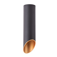 Потолочный светильник 6*22 см Arte Lamp Pilon-Gold A1535PL-1BK черный