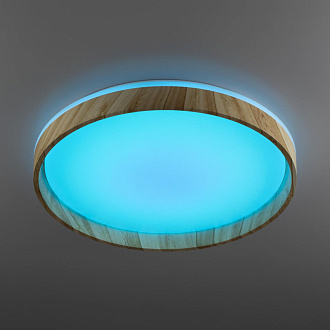 Светильник с пультом 49*7,5 см, 68W 3000-5500 K Citilux CL753452G ENZO Клен LED белый