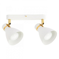 Светильник потолочный 36*11*16 см, 2*E27 белый Arte Lamp Fafnir A5047PL-2WH