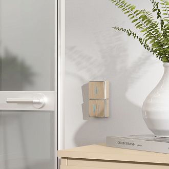 W5010110 Выключатель одноклавишный с подсветкой Gallant, шампань рифленый Werkel, 4690389163821