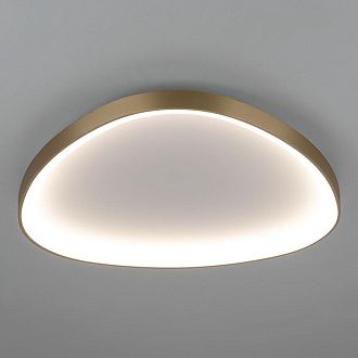 Светильник 66 см, 80W, 3000-5500K, Citilux GENKA SMART CL756A162, золото