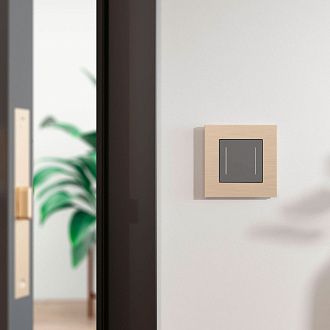 W0013511 Рамка на 1 пост AluMax, шампань Werkel, 4690389204029