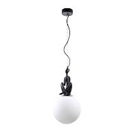 Подвесной светильник 50*25 см, 1*LED, 10W, 3000K Divinare Eleganza 1042/06 SP-10, Черный