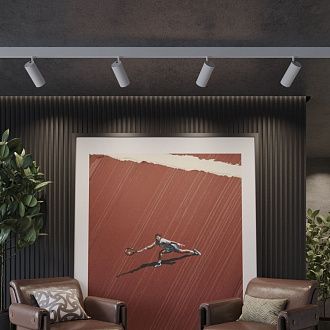 Трековый светильник низковольтный диммируемый 6,5 см, 24W, 3000-6000K, Novotech Flum 359693, белый