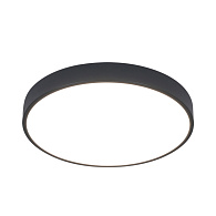 Светильник 40 см, 60W, 2700-4000K Arte Lamp Arena A2661PL-1BK черный