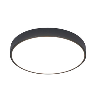 Светильник 40 см, 60W, 2700-4000K Arte Lamp Arena A2661PL-1BK черный