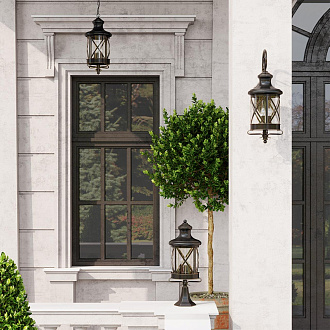 Уличный настенный светильник Odeon Light Sation 4045/3W черный/золотая патина