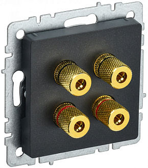 BRITE Аудиорозетка 4 поста РА10-БрЧ черный