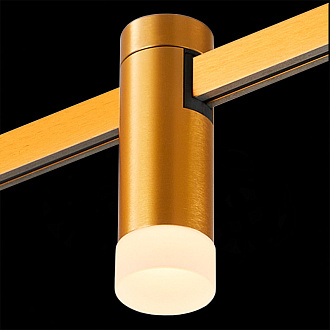 Светильник на шине 2,9*9 см, LED, 3W,  3000К, ST-Luce FARM ST812.206.03 золотой
