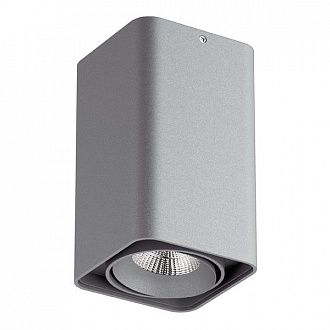 Светильник 10*10*17 см Lightstar 052139, серый, IP65