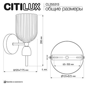 Светильник 28 см, Citilux CARSON CL255313, латунь