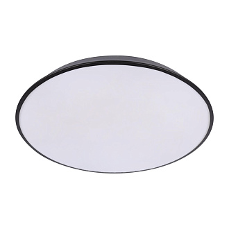 Потолочный светильник 50*5 см, 1*LED*36W 4000K черный LOFT IT Brim 10226 Black
