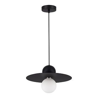 Светильник подвесной RIZZ 1*G9*5W 4000K EVOLUCE SLE1257-443-01 черный