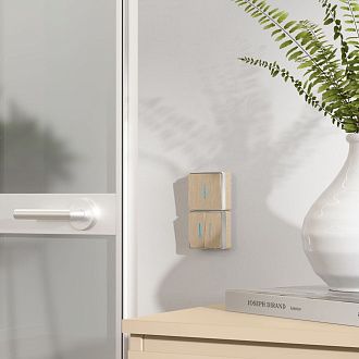 W5020110 Выключатель двухклавишный с подсветкой Gallant, шампань рифленый Werkel, 4690389164200