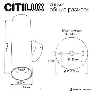 Светильник 22 см, Citilux AXEL CL512322, черный-латунь