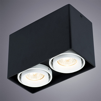 Накладной светильник Arte Lamp A5655PL-2BK черный