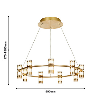 Подвесная люстра 60*180 см, 27W, Favourite Ampullen 4323-9P золото, прозрачное стекло, матовое золото