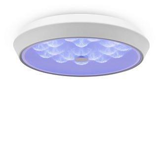 Потолочный светильник 39 см, 24W Freya Cells FR10012CL-L24W, 3000-6500K, белый